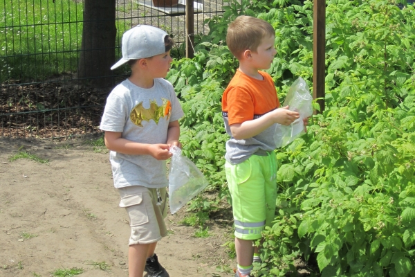 IMG_3513 (2)